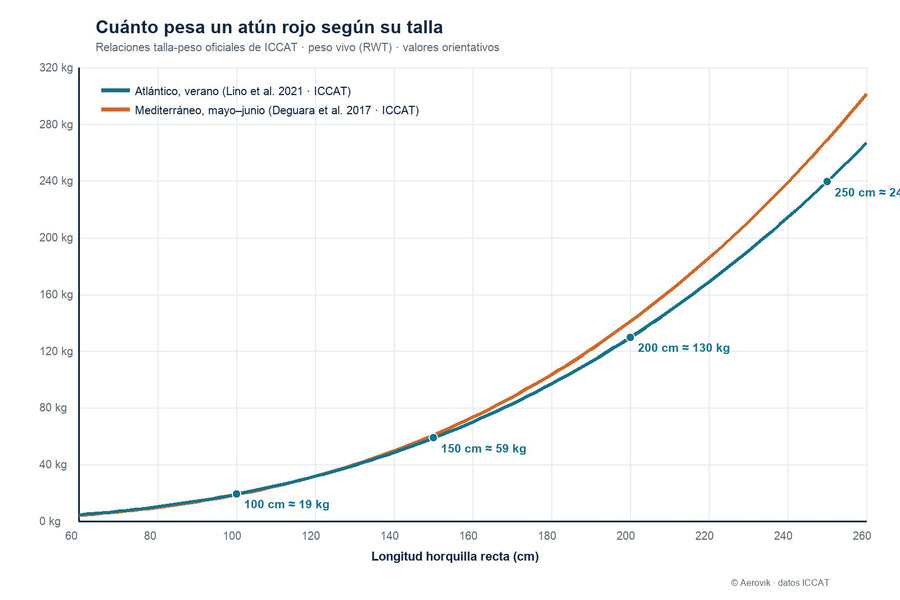 Gráfico de la relación talla-peso del atún rojo según ICCAT