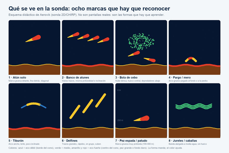 Esquema de ocho marcas de peces en la sonda