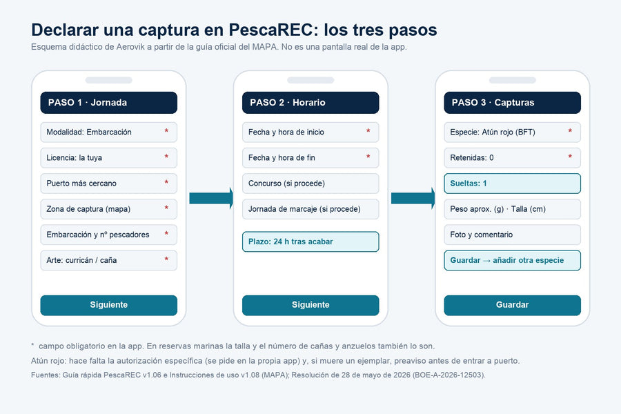 Esquema de los tres pasos para declarar una captura en PescaREC
