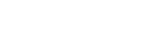 Aerovik